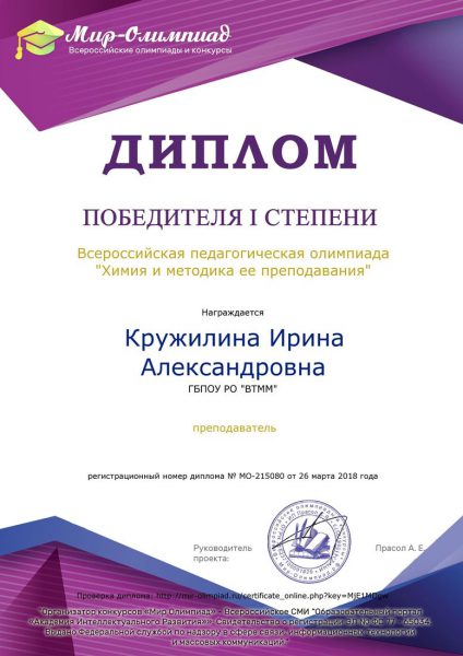 Диплом Кружилина Ирина Александровна