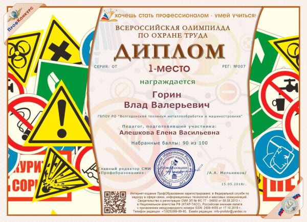 Диплом Горин Влад Валерьевич